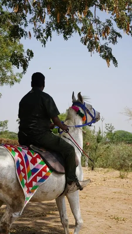 Horse Riding